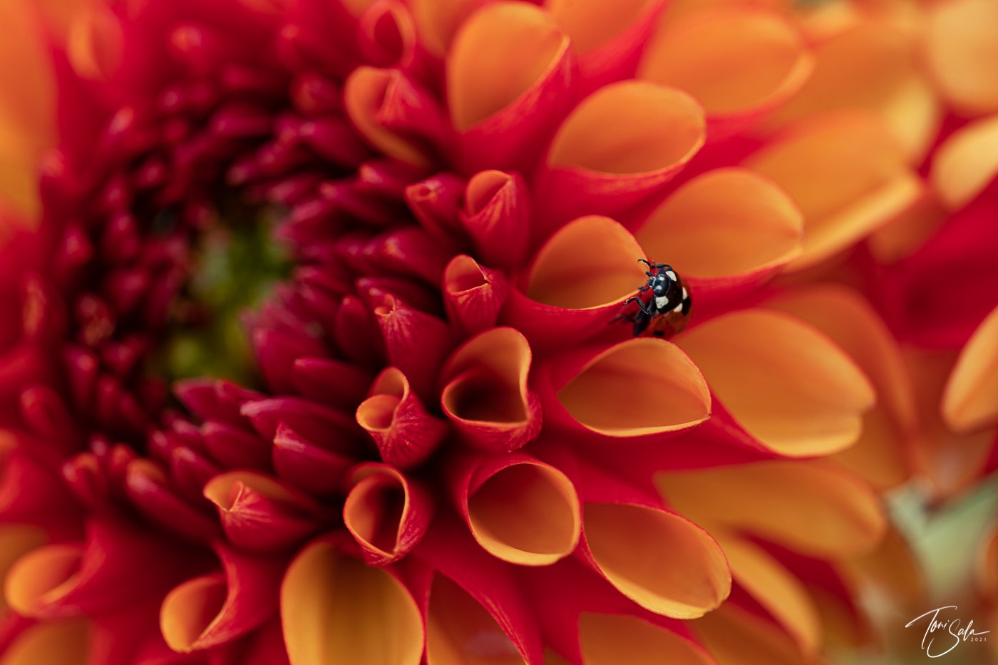 928F2AA6 00B3-4695-8258-542CA3304312