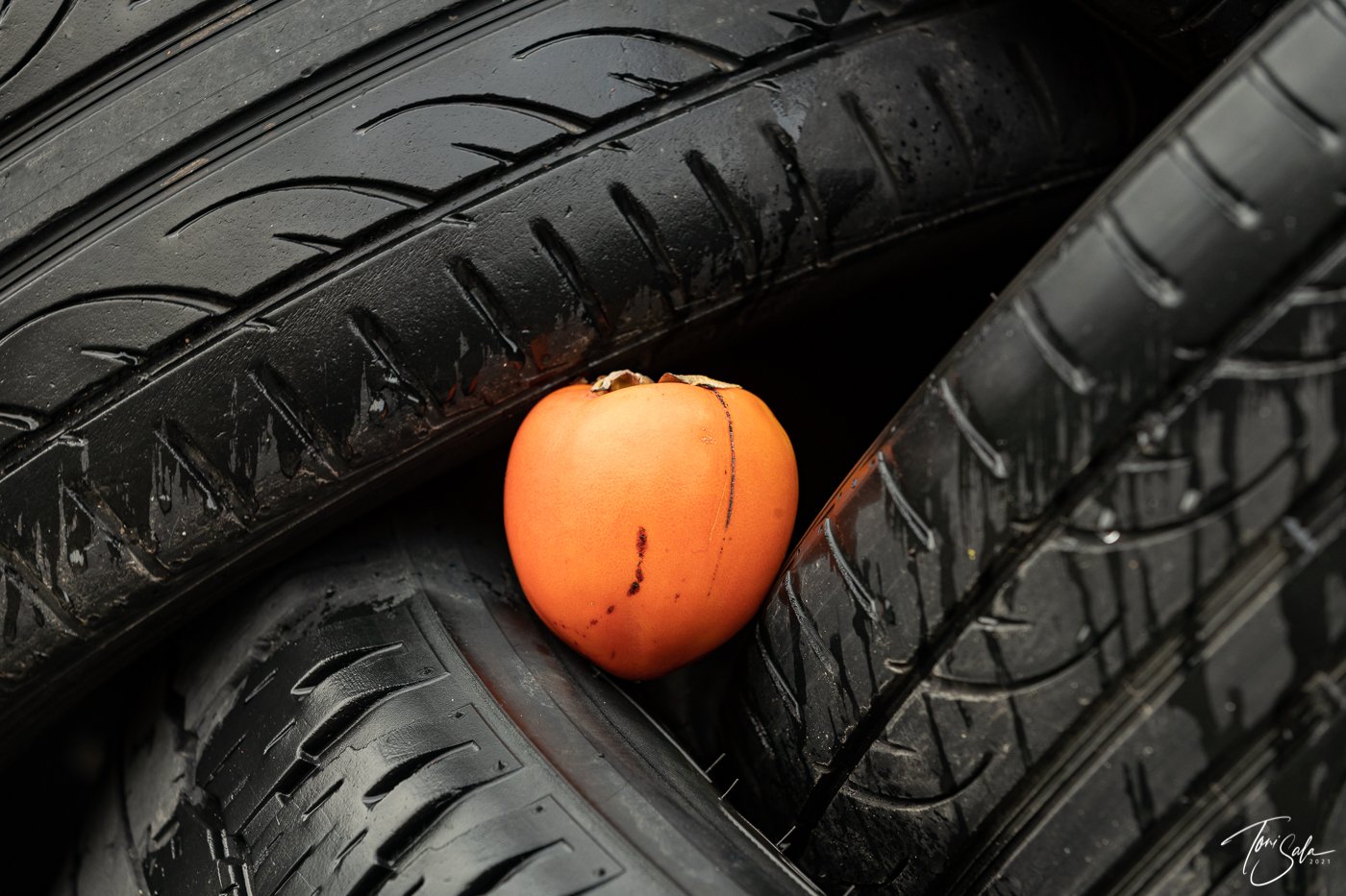 35ADEAAD C675-4B6C-A108-AB1AE024FBE3