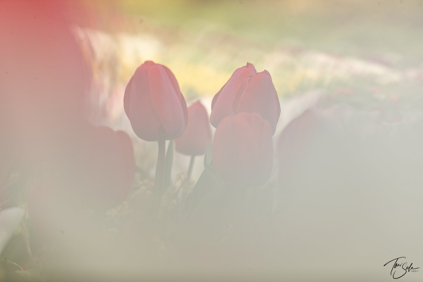 35ADEAAD C675-4B6C-A108-AB1AE024FBE3