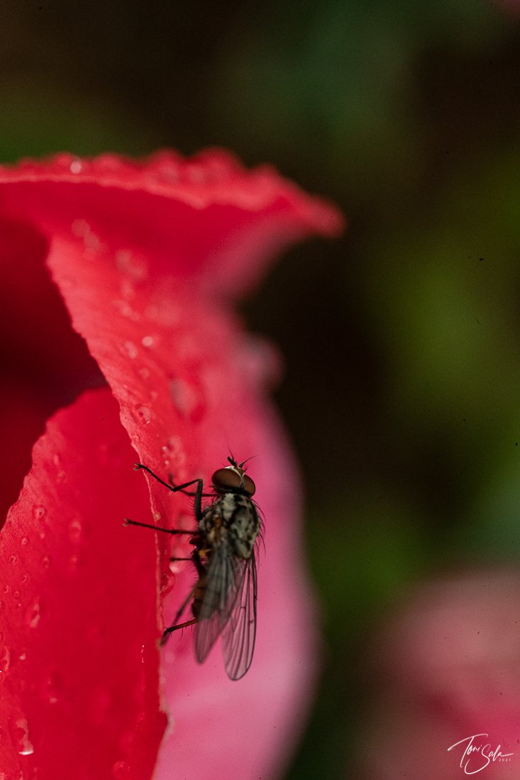 35ADEAAD C675-4B6C-A108-AB1AE024FBE3