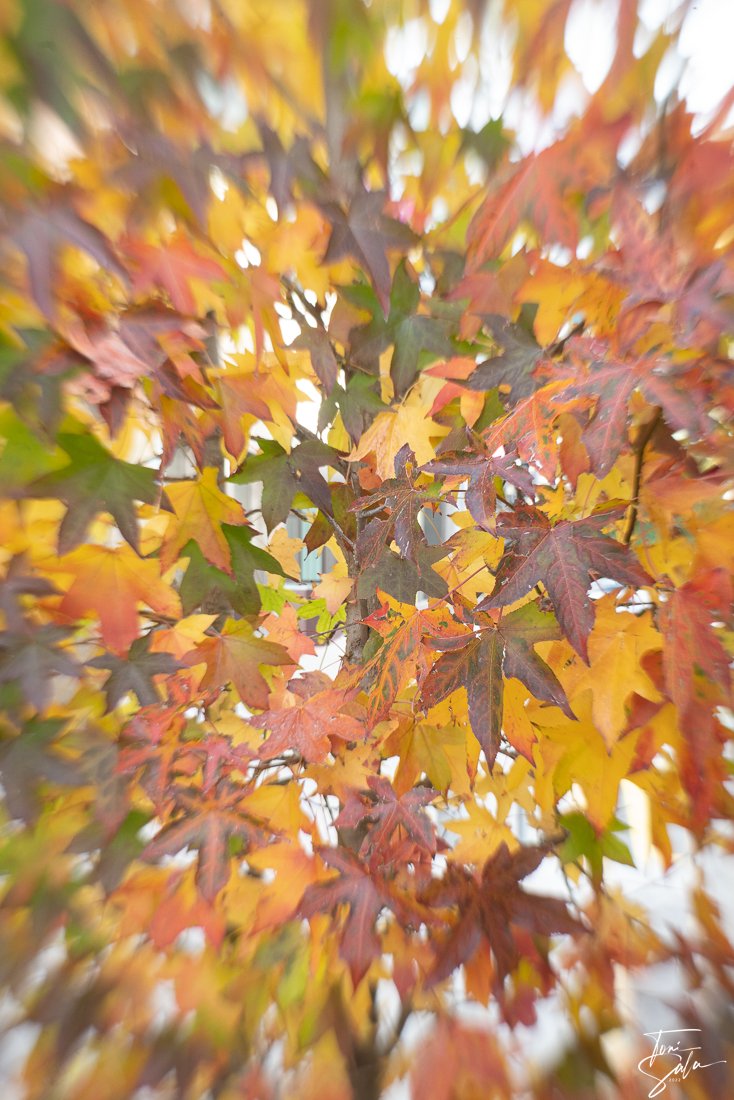 928F2AA6 00B3-4695-8258-542CA3304312